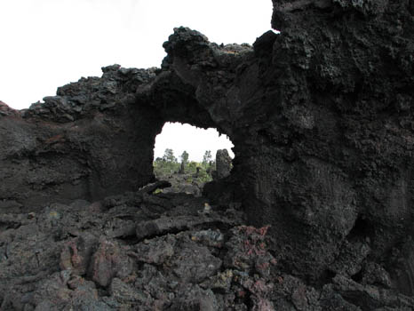 Lava Tree
