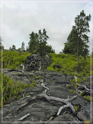 Big Island: Naulu Trail
