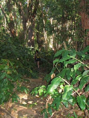 Berry Flat Trail
