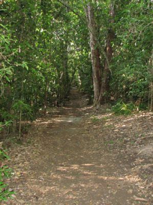 Bird Trail
