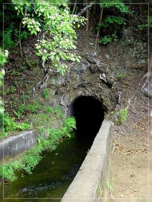 Maui: Waihe'e Valley Trail

