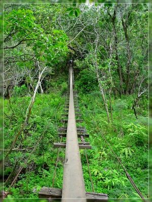 Maui: Waihe'e Valley Trail

