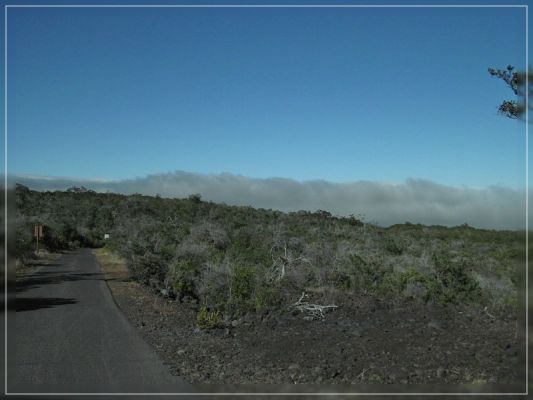 IMG_9111.jpg