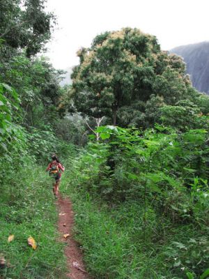 Maunawili Demonstration Trail Waimanalo side
