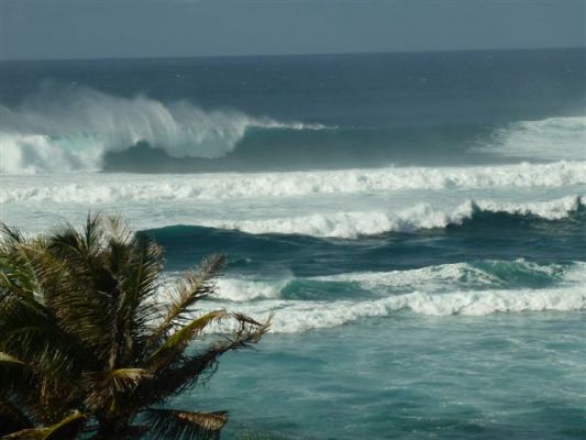O'ahu, Turtle Bay Resort
