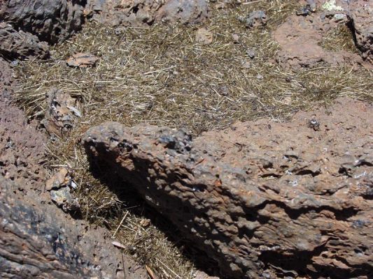 Pele's hair
