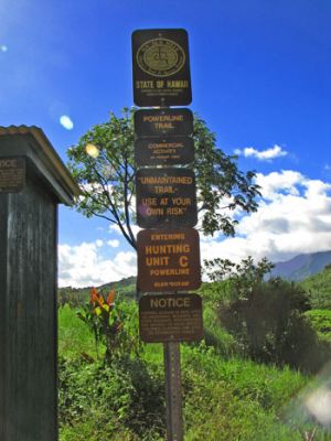 Powerline Trail north
