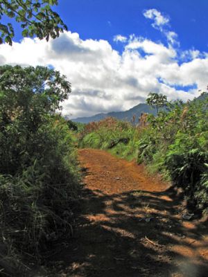 Powerline Trail north
