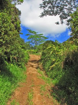 Powerline Trail south
