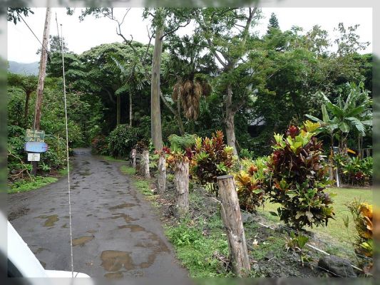 Big Island, Waipi'o Valley
