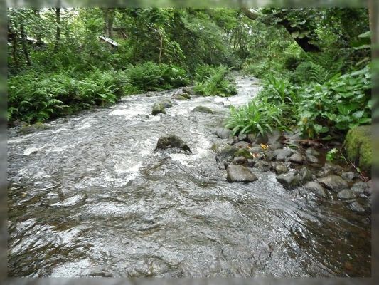 Big Island, Waipi'o Valley
