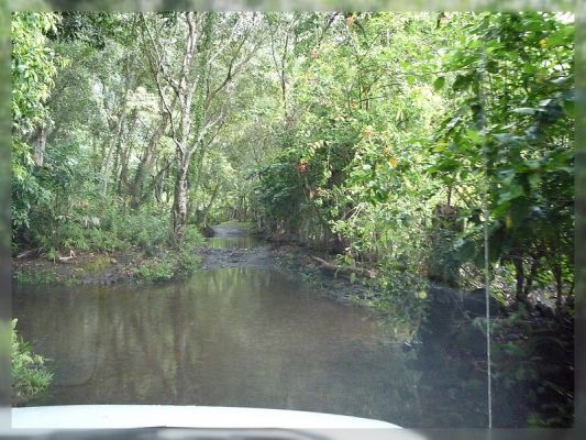 Big Island, Waipi'o Valley
