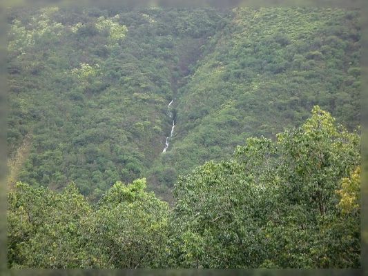 Big Island, Waipi'o Valley
