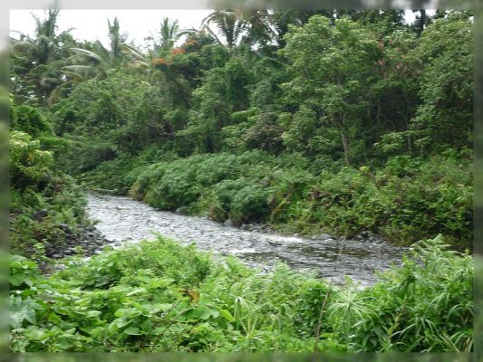 Big Island, Waipi'o Valley
