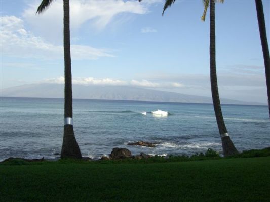 Noelani Condo Resort
