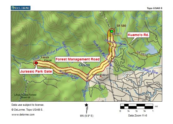 forest_management_road.jpg