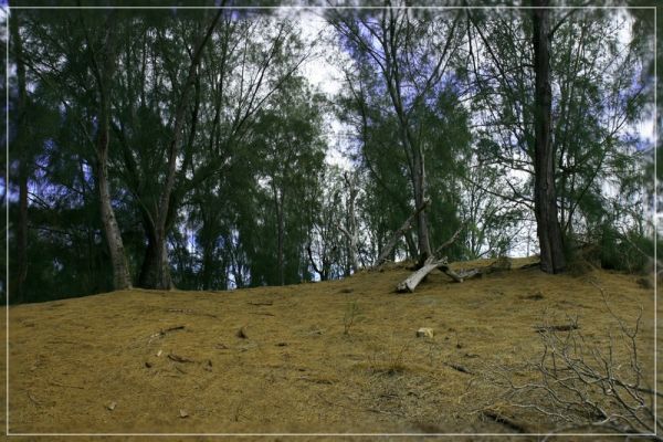 Kealia Trail

