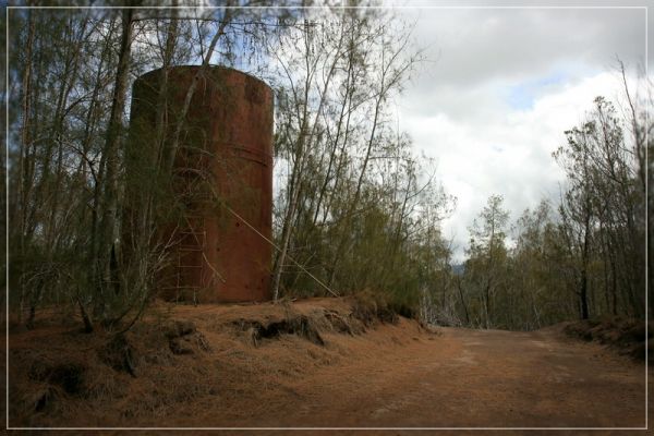 Kealia Trail
