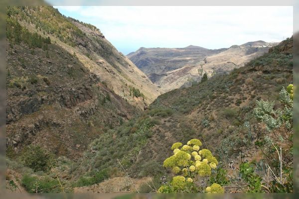 Barranco Hondo de Abajo
