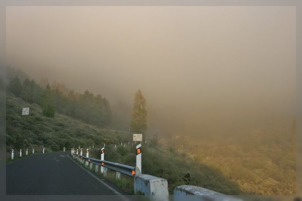 Nebel auf der GC 220
