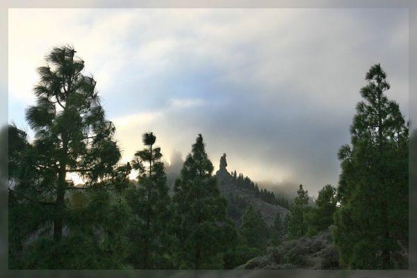 Roque Nublo - er macht seinem Namen alle Ehre
