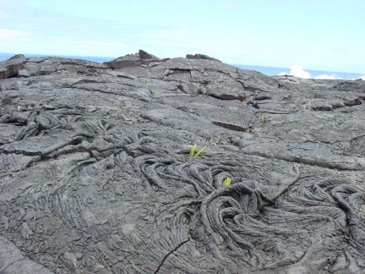 von Kalapana zum aktiven Lavafluss
