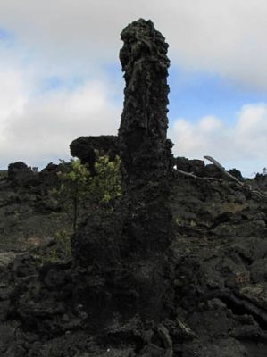Lava Tree
