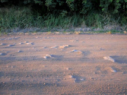 Pi'ilani Hwy.
