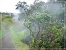 Big Island, Crater Rim Trail