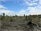 Big Island: Napau Crater Trail