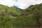 Kuli'ou'ou Ridge Trail