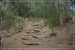 Kuli'ou'ou Ridge Trail