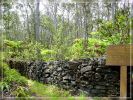 Big Island: Napau Crater Trail