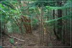 Kuli'ou'ou Ridge Trail