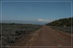 Big Island: Mauna Loa Observatory Road