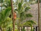 0267-Polynesian Cultural Center-28.jpg