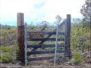 Big Island, Mauna Loa Road