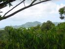 0455-Kuilau Ridge Trail-25_Sleeping Giant-3.jpg