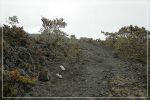 Big Island, Powerline Trail