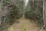 Big Island, Powerline Trail