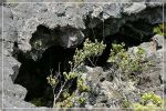 Big Island, Pu'u O'o Trail