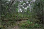 Big Island, Pu'u O'o Trail