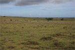 Big Island, South Point Road