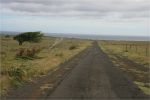 Big Island, South Point Road