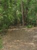Bird Trail2.jpg