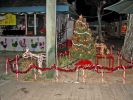 Coconut Market Place1.jpg