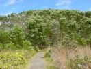Crater Rim Trail-7jpg.jpg