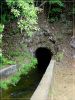 Maui: Waihe'e Valley Trail