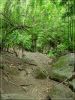 Maui: Waihe'e Valley Trail