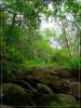 Maui: Waihe'e Valley Trail